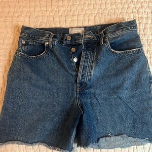 Everlane Rigid Way-Short